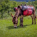 Помощь в доставке оборудования