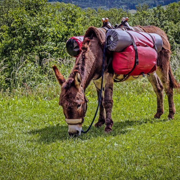 Помощь в доставке оборудования