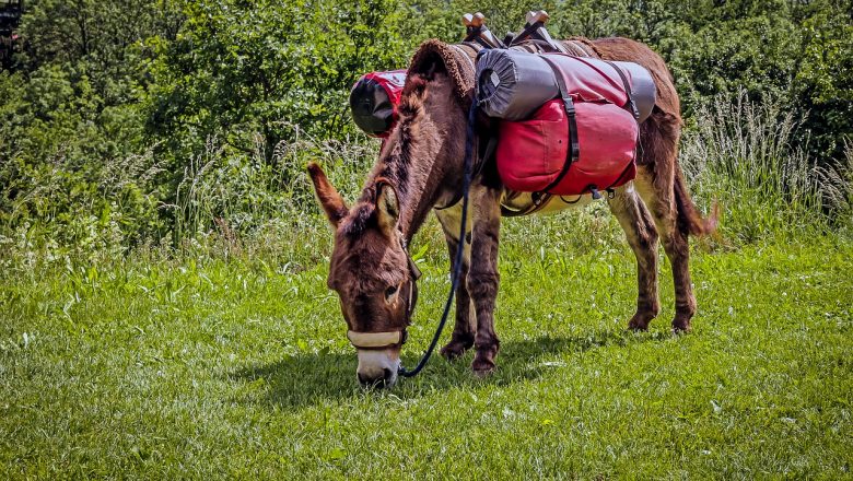 Помощь в доставке оборудования